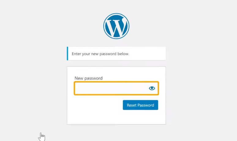 New Password - to login or find  WordPress wp-admin dashboard page
