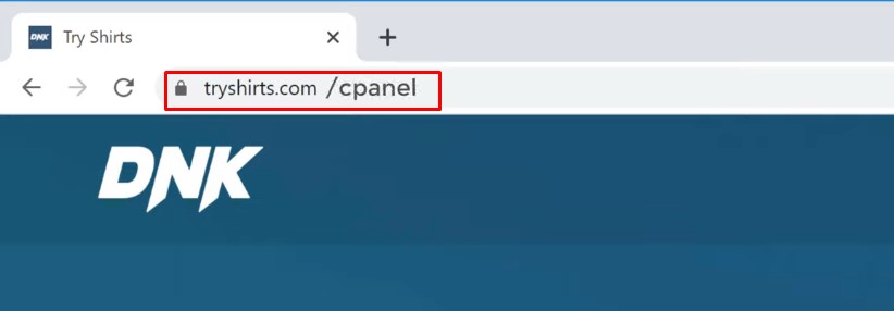 cpanel url