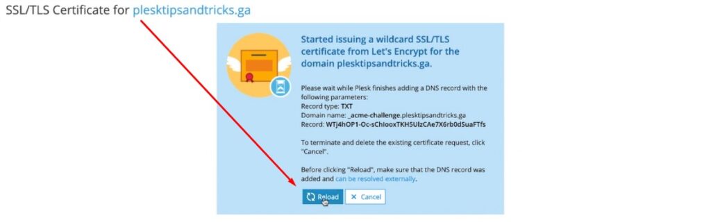 start issueing a wildcard ssl certificate
